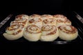 Twelve cinnamon buns baking and rising in electric oven: front view