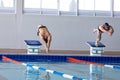 Swimmers plunging in the pool Royalty Free Stock Photo