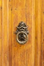Vintage wooden door with ornate door knocker