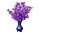 Front view violet orchid flowers bouquet in a blue ceramic vase on white background, nature, object, decor, vintage, copy space Royalty Free Stock Photo