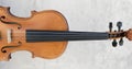 front view violin. High quality photo