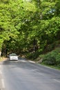 Front view of a white Peugeot 406 car driving on forest road.