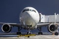 Front view of the white wide body passenger airliner at the air bridge on night airport apron Royalty Free Stock Photo