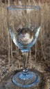 Frontal view of a wild brown house mouse with his paws push up against the inside of a long stemmed wine glass. Royalty Free Stock Photo