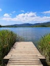 Front view of Wooden walkway over lake and aquatic vegetation in natural environment. Pedestrian bridge made of wood on pontoons. Royalty Free Stock Photo