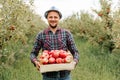 Front view young farmer man stands in apple orchard with wooden box apples in his hands and smiles.