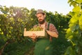 Front view young winemaking male farmer worker hold a container crop hand sorting bunch grape.