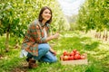 Front view young woman agronomist squatting in front of a crate of red apples showing thumb up. Royalty Free Stock Photo