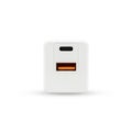 Front views of White color adapter plug with USB-A and USB-C for new smartphone isolated on white background. with clipping paths Royalty Free Stock Photo