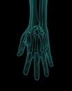 Front x-ray view of human hand Royalty Free Stock Photo