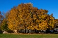 Front Yard Fall Royalty Free Stock Photo