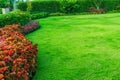 garden landscape design with tall and short shrubs and flowers with beautiful round shape. In the middle is green grass. Royalty Free Stock Photo