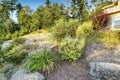 Front yard hill with dry grass ans bushes