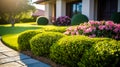 Front yard, landscape design with multicolored shrubs intersecting with bright green lawns behind the house is a modern, garden Royalty Free Stock Photo