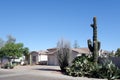 Front Yard in Phoenix, AZ Royalty Free Stock Photo