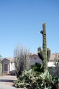 Front Yard in Phoenix, AZ Royalty Free Stock Photo