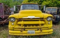 The front of a yellow 1956 Chevy 8500 truck in a junkyard in Ida