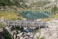 frontal aerial view of wooden bridge over cornisello lake with fir tree Royalty Free Stock Photo