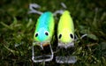 Frontal detail of two home-made fishing lures plugs minnows Royalty Free Stock Photo