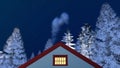 Frontal house gable and winter night sky