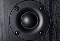 Frontal image of high frequency audio speaker