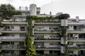 Frontal view of the facade of an urbanization of concrete buildings with large vines between balconies running along the facades