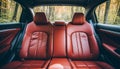 Frontal view of plush red leather back passenger seats in a sleek and modern luxury car interior Royalty Free Stock Photo