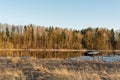 Frontal view of the river and the bank with tall trees and dry grass. Melting small blocks of ice float in the water. The clear Royalty Free Stock Photo