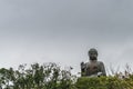 Frontal view, Tian Tan Buddha peeps over trees, Hong Kong China