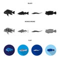 Frontosa, cichlid, phractocephalus hemioliopterus.Fish set collection icons in black, flat, monochrome style vector