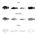 Frontosa, cichlid, phractocephalus hemioliopterus.Fish set collection icons in black,monochrome,outline style vector
