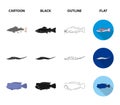 Frontosa, cichlid, phractocephalus hemioliopterus.Fish set collection icons in cartoon,black,outline,flat style vector
