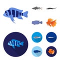 Frontosa, cichlid, phractocephalus hemioliopterus.Fish set collection icons in cartoon,flat style vector symbol stock