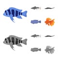 Frontosa, cichlid, phractocephalus hemioliopterus.Fish set collection icons in cartoon,monochrome style vector symbol