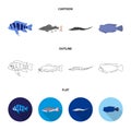 Frontosa, cichlid, phractocephalus hemioliopterus.Fish set collection icons in cartoon,outline,flat style vector symbol