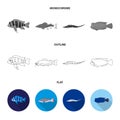 Frontosa, cichlid, phractocephalus hemioliopterus.Fish set collection icons in flat,outline,monochrome style vector