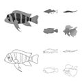 Frontosa, cichlid, phractocephalus hemioliopterus.Fish set collection icons in outline,monochrome style vector symbol