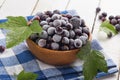 Frosen blackberries in bowl Royalty Free Stock Photo