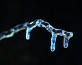 Frosen icicles on tree branches night sceen Royalty Free Stock Photo