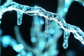Frosen icicles on tree branches night sceen Royalty Free Stock Photo