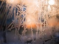 Frost abstract background. Royalty Free Stock Photo