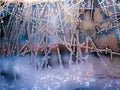 Frost abstract background. Royalty Free Stock Photo