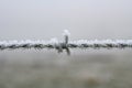 Frosty barbed wire fence abstract Royalty Free Stock Photo