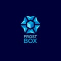 Frost box logo for frozen food. Blue snowflake geometry emblem, isolated on a dark background.