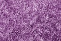 Frost on car glass texture in purple tone Royalty Free Stock Photo