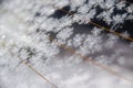 Frost on car window Royalty Free Stock Photo