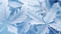 frost cold ice background
