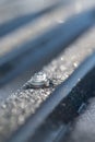 Frost on corregated plastic roof