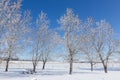 Scenic Landscape Milk River Prairie Southern Alberta Canada Royalty Free Stock Photo