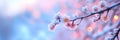 Frost-covered cherry blossoms on branch against vibrant sunset background Royalty Free Stock Photo